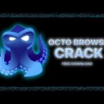 Octo Browser Crack + Serial Key Free Download 2024